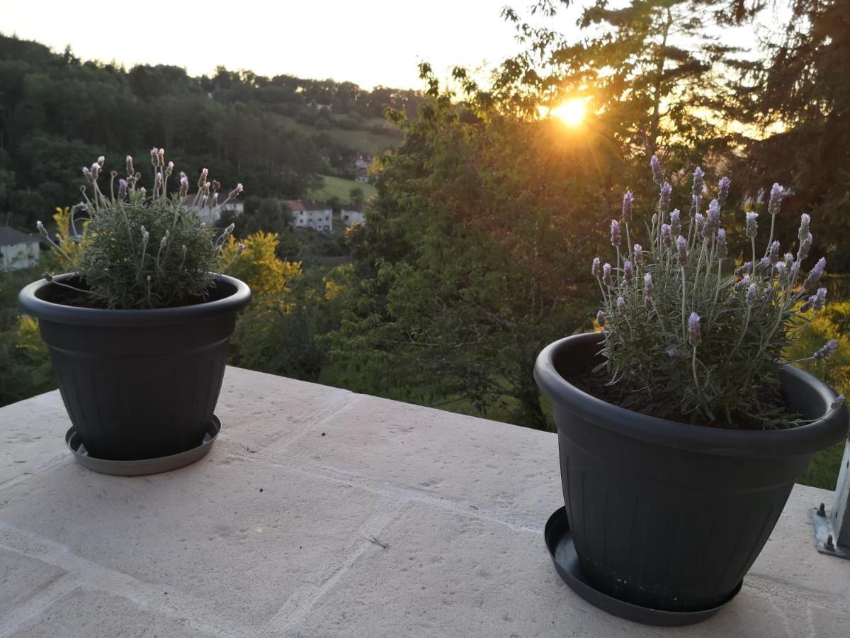 Chambre Meublee Avec Vue Panoramique A Perigueux Sanilhac  외부 사진
